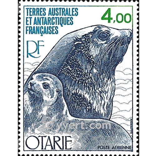 nr. 54 -  Stamp French Southern Territories Air Mail