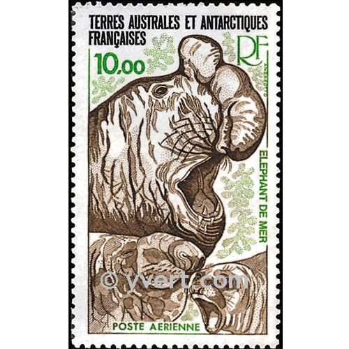 nr. 55 -  Stamp French Southern Territories Air Mail