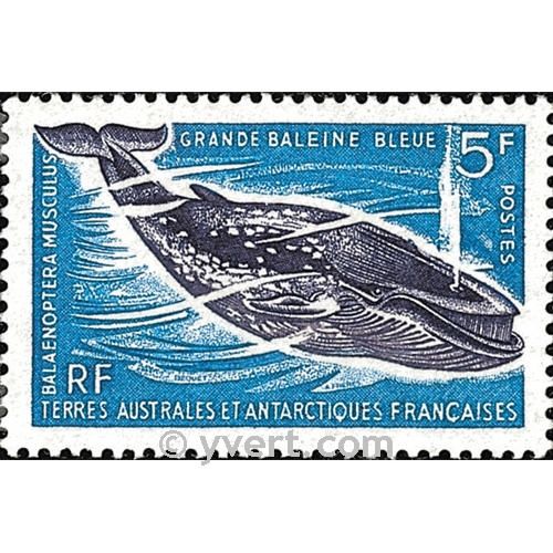 nr. 22 -  Stamp French Southern Territories Mail