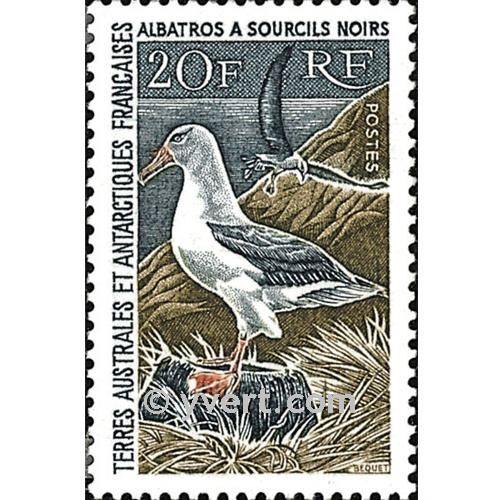 nr. 24 -  Stamp French Southern Territories Mail