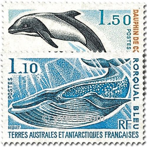 nr. 64/65 -  Stamp French Southern Territories Mail