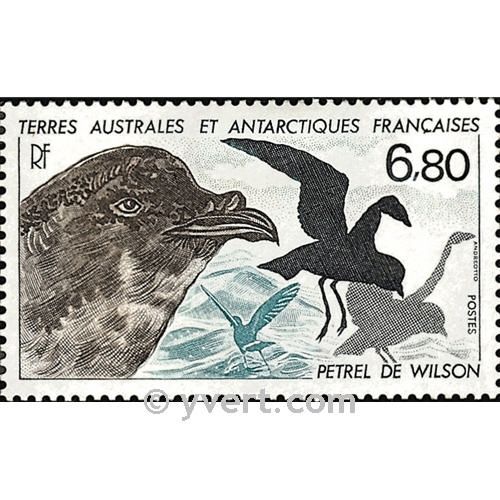 n.o 132 -  Sello Tierras Australes y Antárticas Francesas Correos