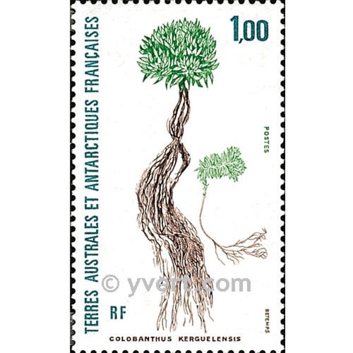 nr. 164 -  Stamp French Southern Territories Mail