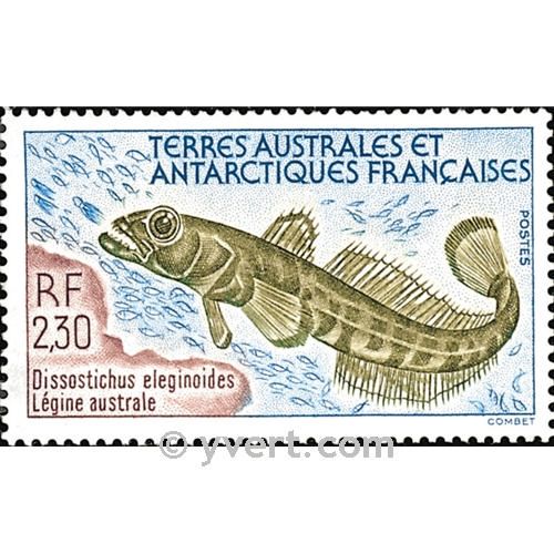 nr. 166 -  Stamp French Southern Territories Mail