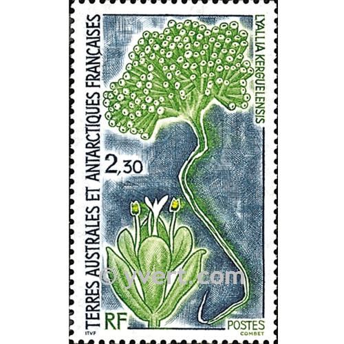 nr. 175 -  Stamp French Southern Territories Mail