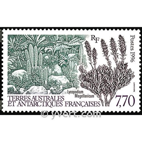 nr. 209 -  Stamp French Southern Territories Mail