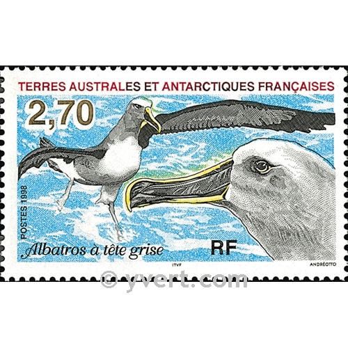 nr. 229 -  Stamp French Southern Territories Mail