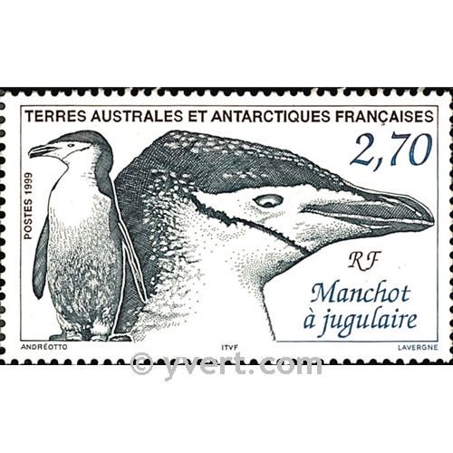 nr. 236 -  Stamp French Southern Territories Mail