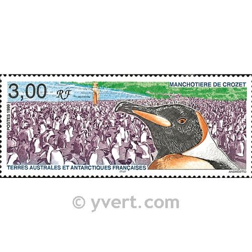 nr. 237 -  Stamp French Southern Territories Mail