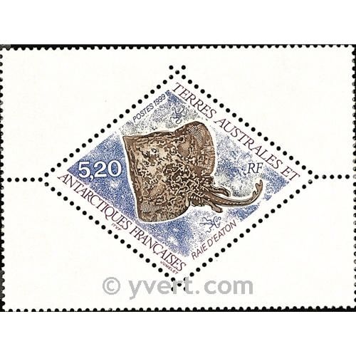 nr. 240 -  Stamp French Southern Territories Mail