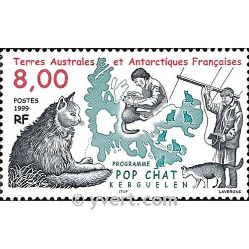 n° 242 -  Timbre TAAF Poste