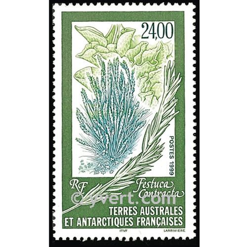 nr. 244 -  Stamp French Southern Territories Mail