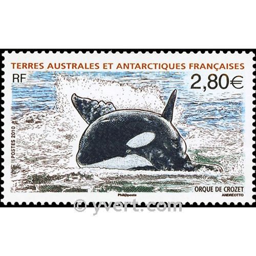 nr. 552 -  Stamp French Southern Territories Mail