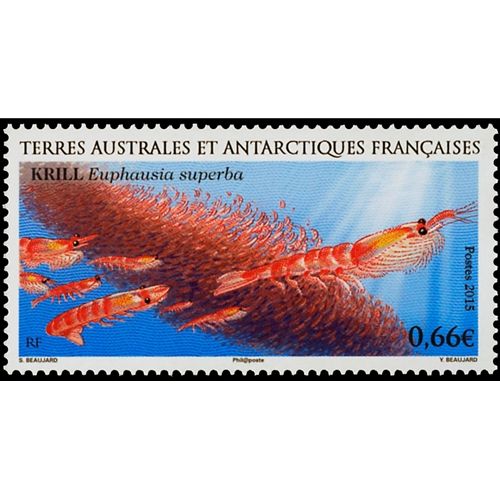 n° 728 - Sello Tierras Australes y Antárticas Francesas Correo