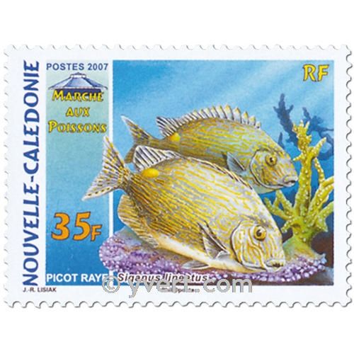 n° 998/1000 -  Timbre Nelle-Calédonie Poste
