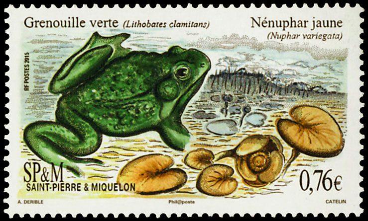 n°  1141  - Stamp Saint-Pierre et Miquelon Mail