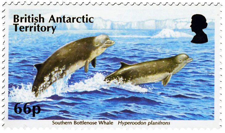 n° 660 - Timbre ANTARCTIQUE BRITANNIQUE Poste