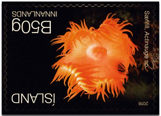 n° 1430 - Timbre ISLANDE Poste