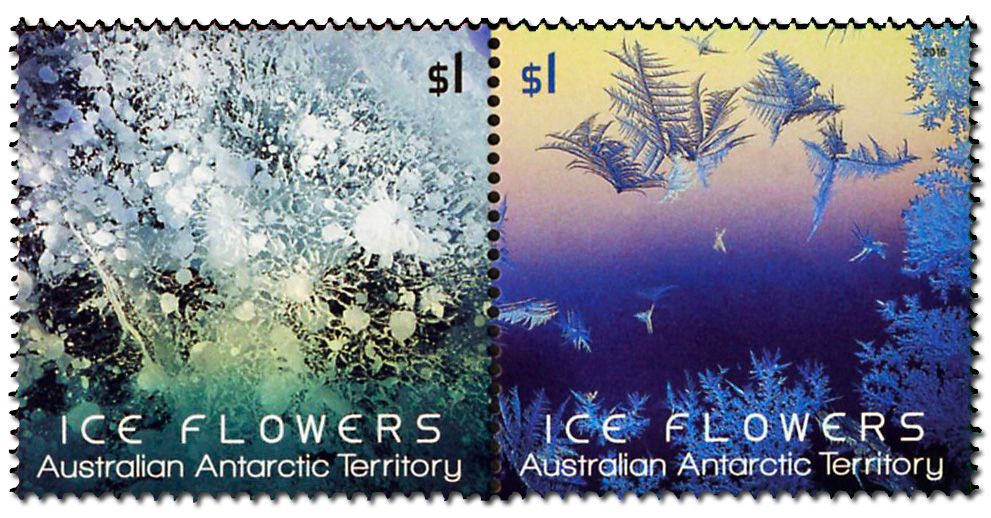 n° 238 - Timbre TERRITOIRE ANTARCTIQUE AUSTRALIEN Poste