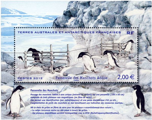 nr. F638 -  Stamp French Southern Territories Mail