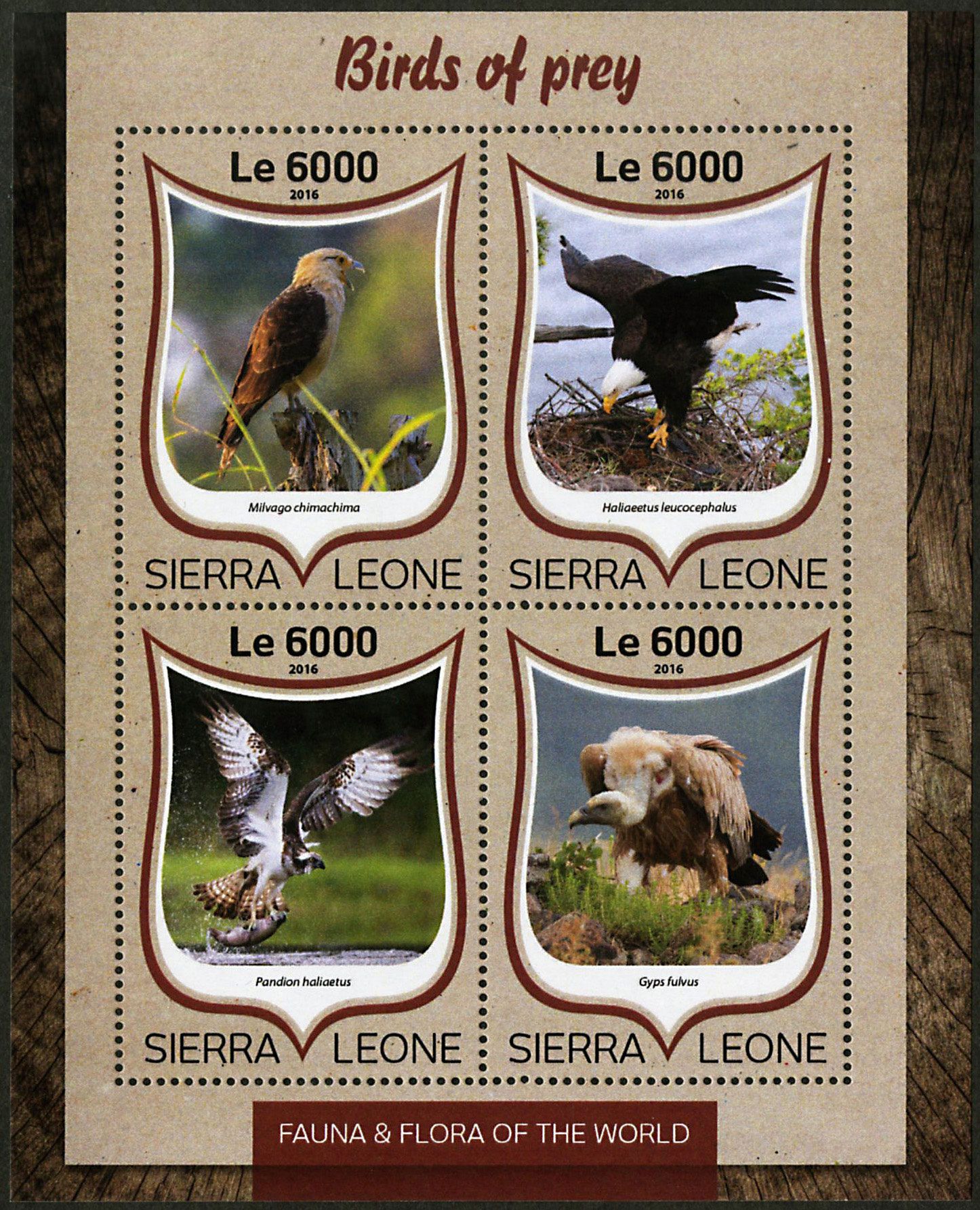 n° 6209 - Timbre SIERRA LEONE Poste