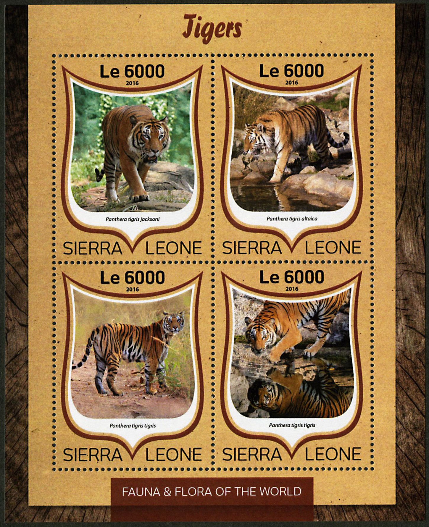 n° 6217 - Timbre SIERRA LEONE Poste