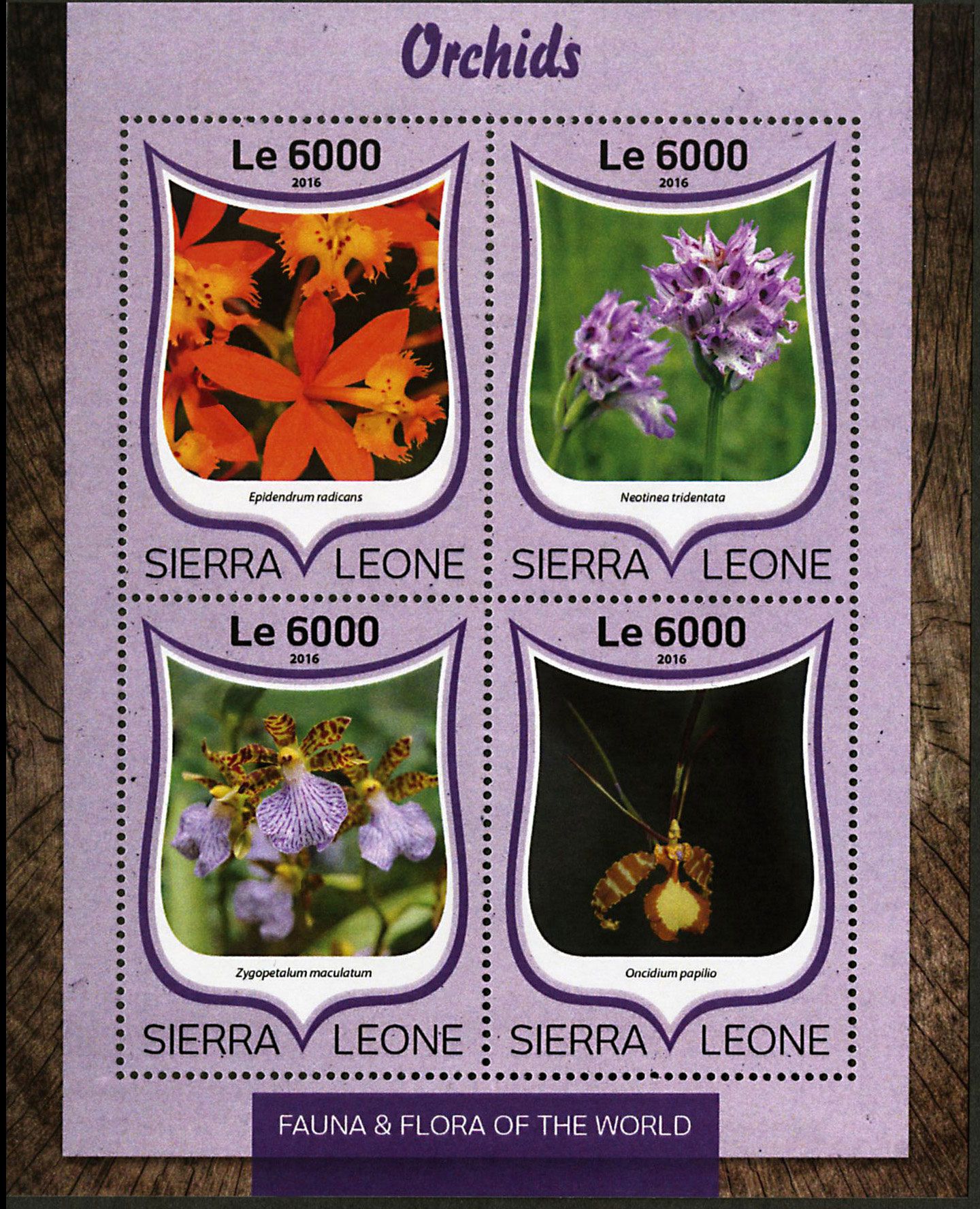 n° 6229 - Timbre SIERRA LEONE Poste