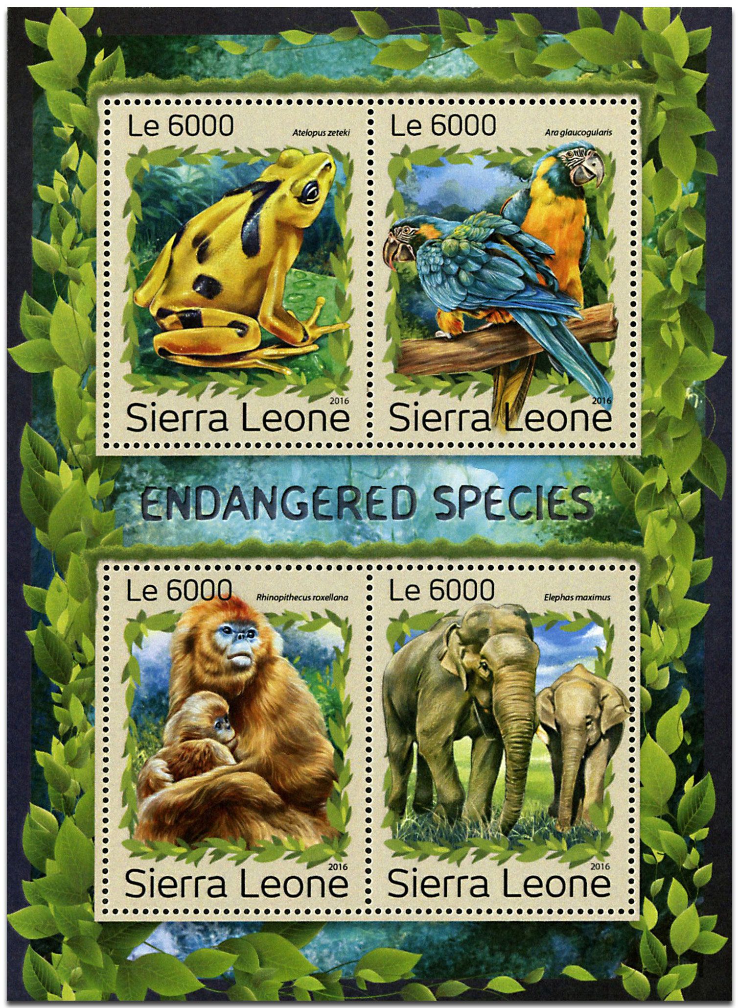 n° 6537 - Timbre SIERRA LEONE Poste