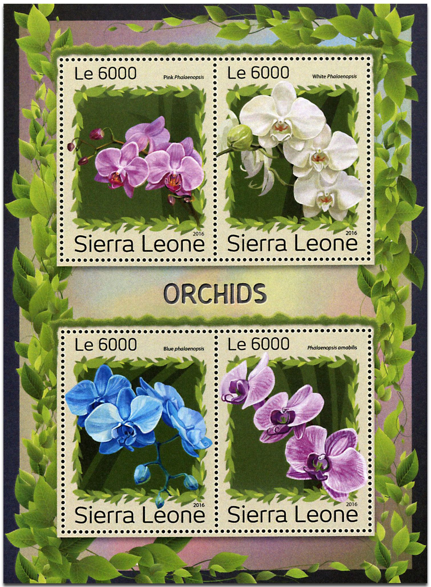 n° 6545 - Timbre SIERRA LEONE Poste