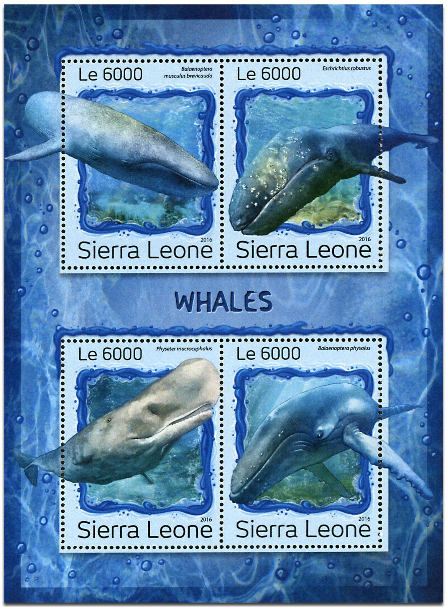 n° 6561 - Timbre SIERRA LEONE Poste