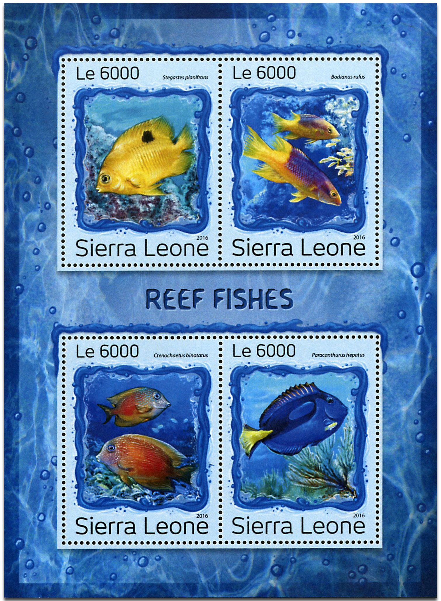 n° 6565 - Timbre SIERRA LEONE Poste