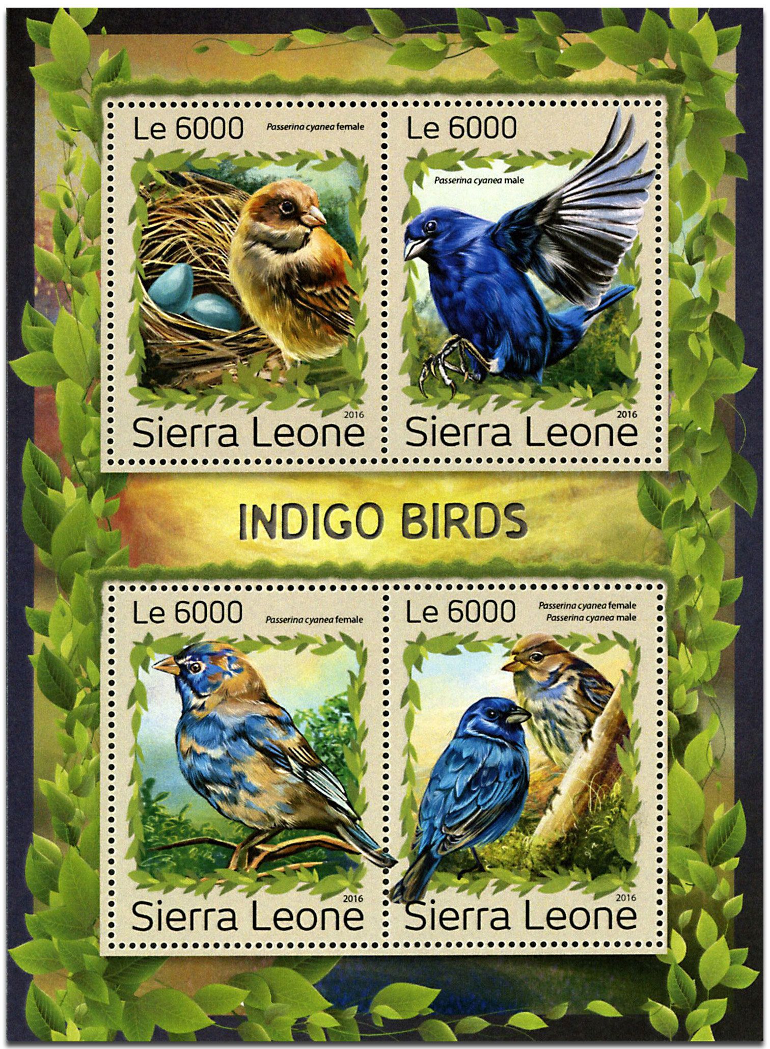 n° 6585 - Timbre SIERRA LEONE Poste