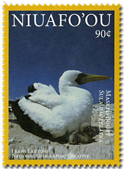 n° 412 - Timbre NIUAFO´OU Poste