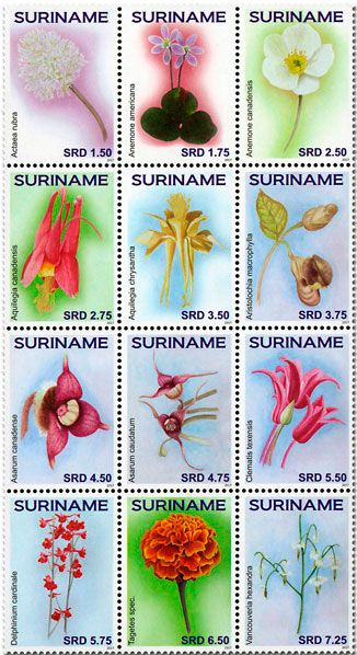 n° 2648/2659 - Timbre SURINAME Poste