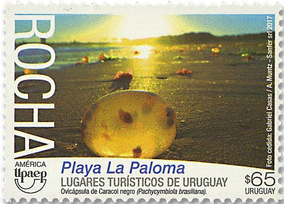 n° 2863 - Timbre URUGUAY Poste