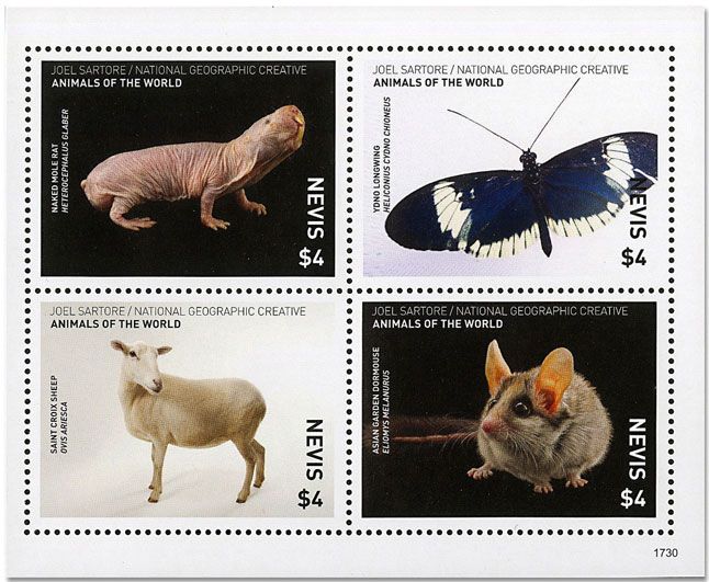 n° 2670/2673 - Timbre NEVIS Poste