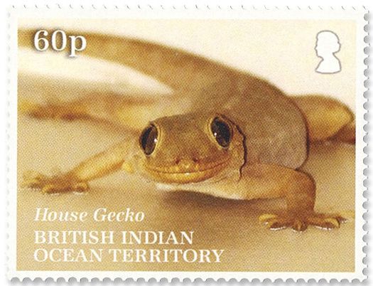 n°554/556 - Timbre OCEAN INDIEN Poste