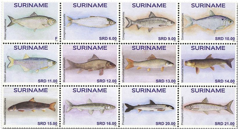 n° 2964/2975 - Timbre SURINAM Poste