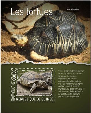 n° 2428 - Timbre GUINEE Blocs et feuillets