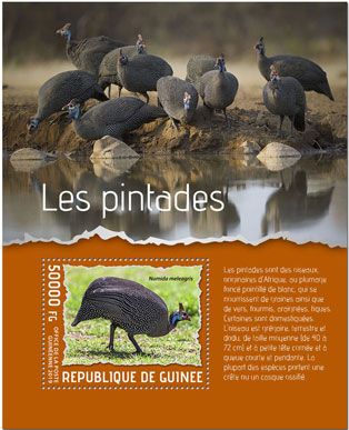 n° 2431 - Timbre GUINEE Blocs et feuillets