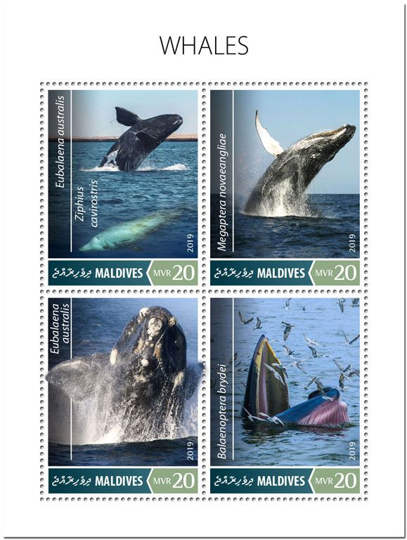 n° 6968/6971 - Timbre MALDIVES Poste