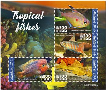 n° 6984/6987 - Timbre MALDIVES Poste