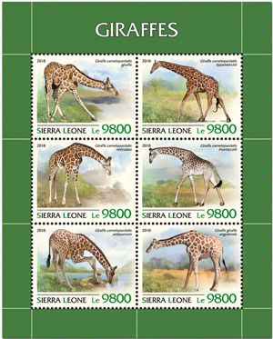 n° 8341 - Timbre SIERRA LEONE Poste