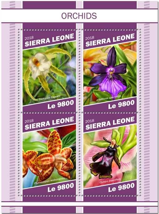 n° 8538/8541 - Timbre SIERRA LEONE Poste