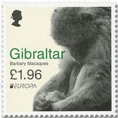 n° 2001/2002 - Timbre GIBRALTAR Poste