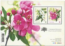 n° F3748 - Timbre CANADA Poste