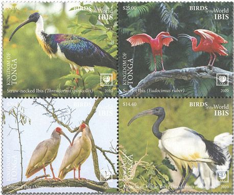 n° 1602/1605 - Timbre TONGA Poste