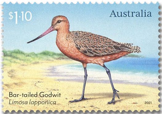 n° 5085/5087 - Timbre AUSTRALIE Poste