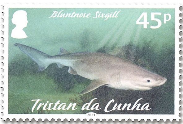 n° 1285/1288 - Timbre TRISTAN DA CUNHA Poste