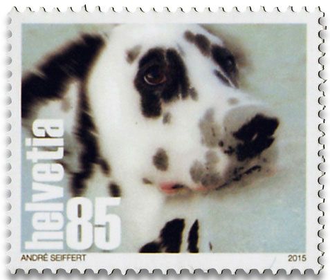 n° 2305/2308 - Timbre SUISSE Poste